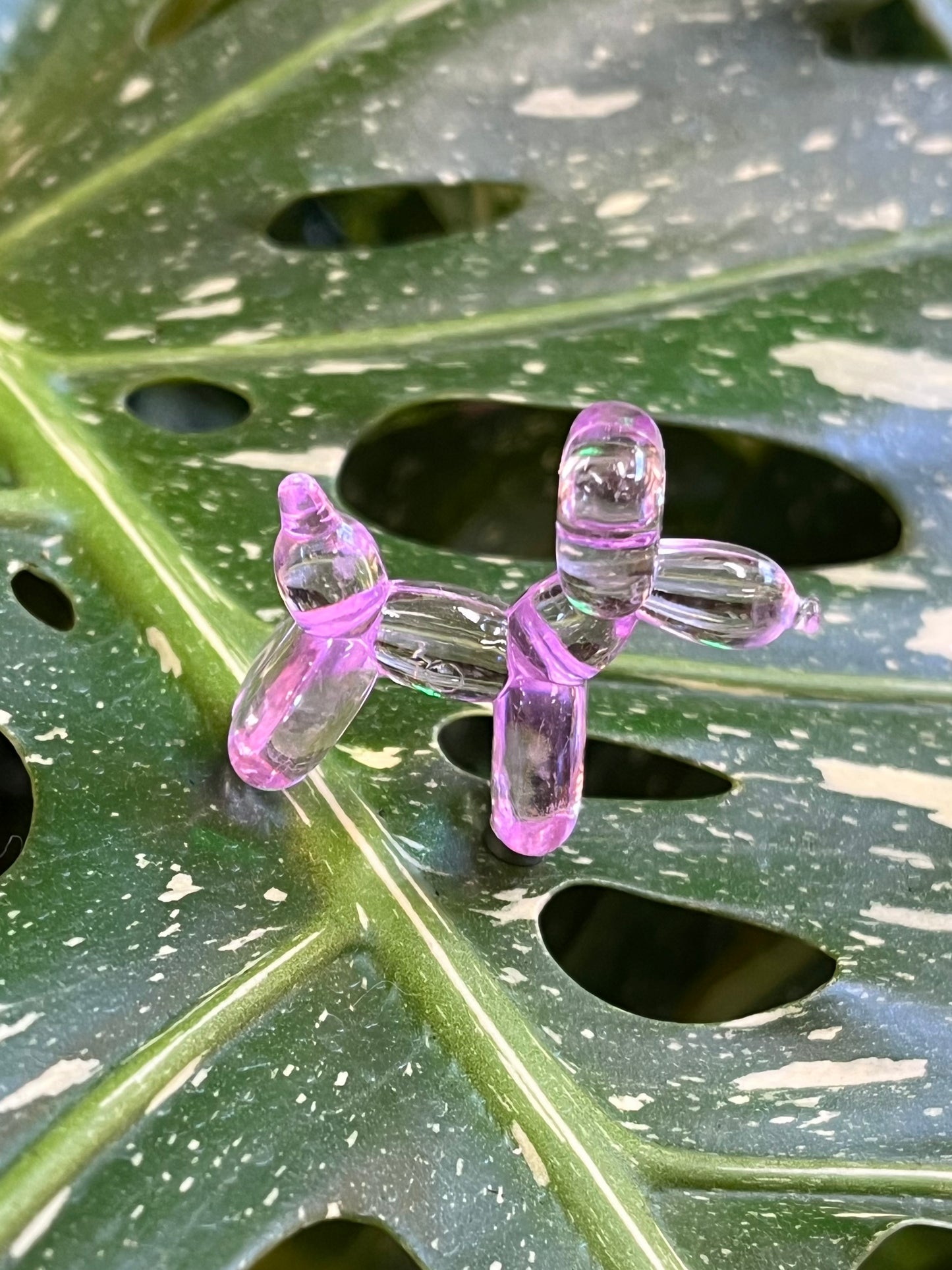 Balloon Dog Plant Magnet