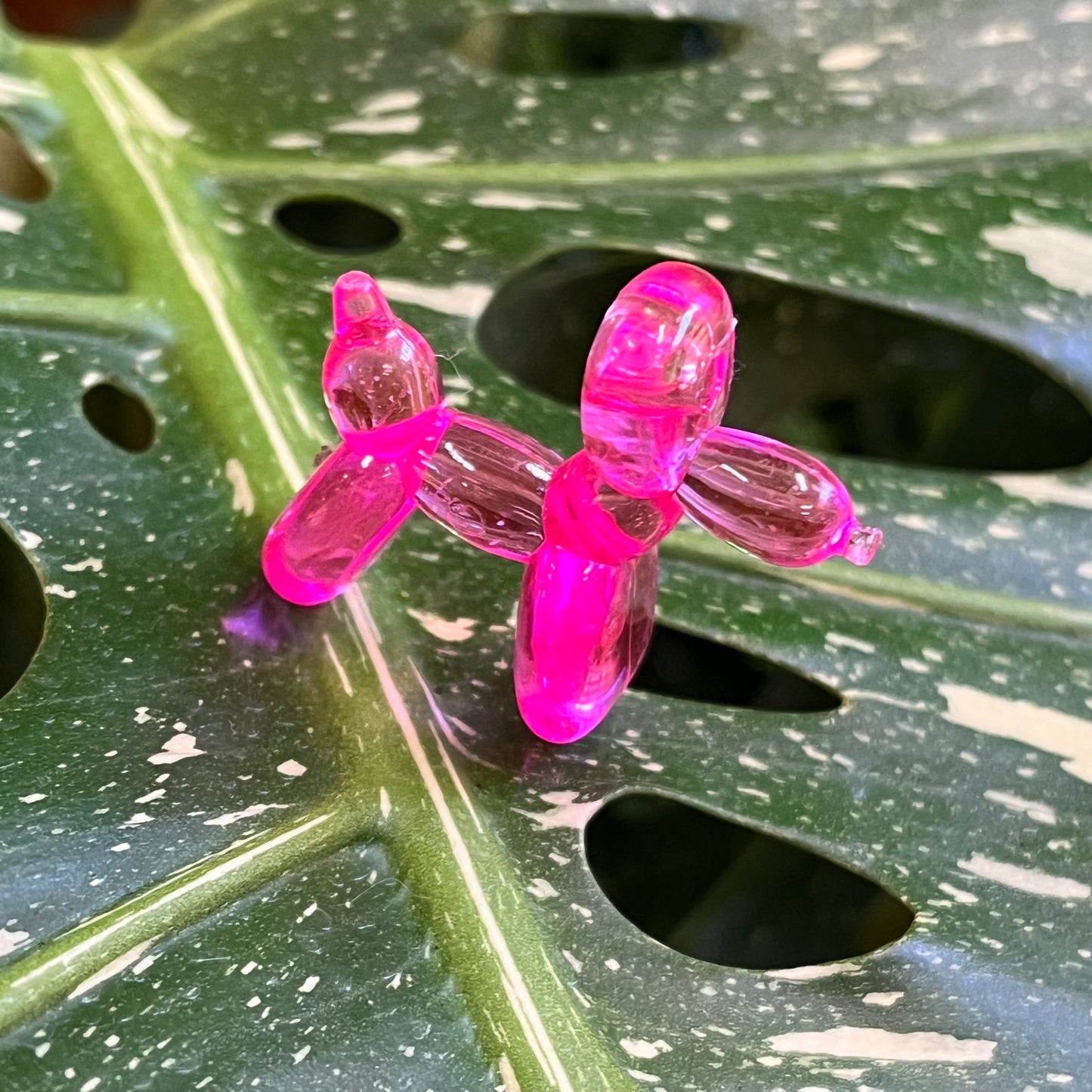 Balloon Dog Plant Magnet