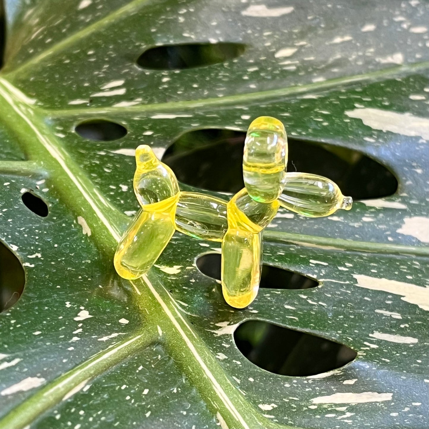 Balloon Dog Plant Magnet