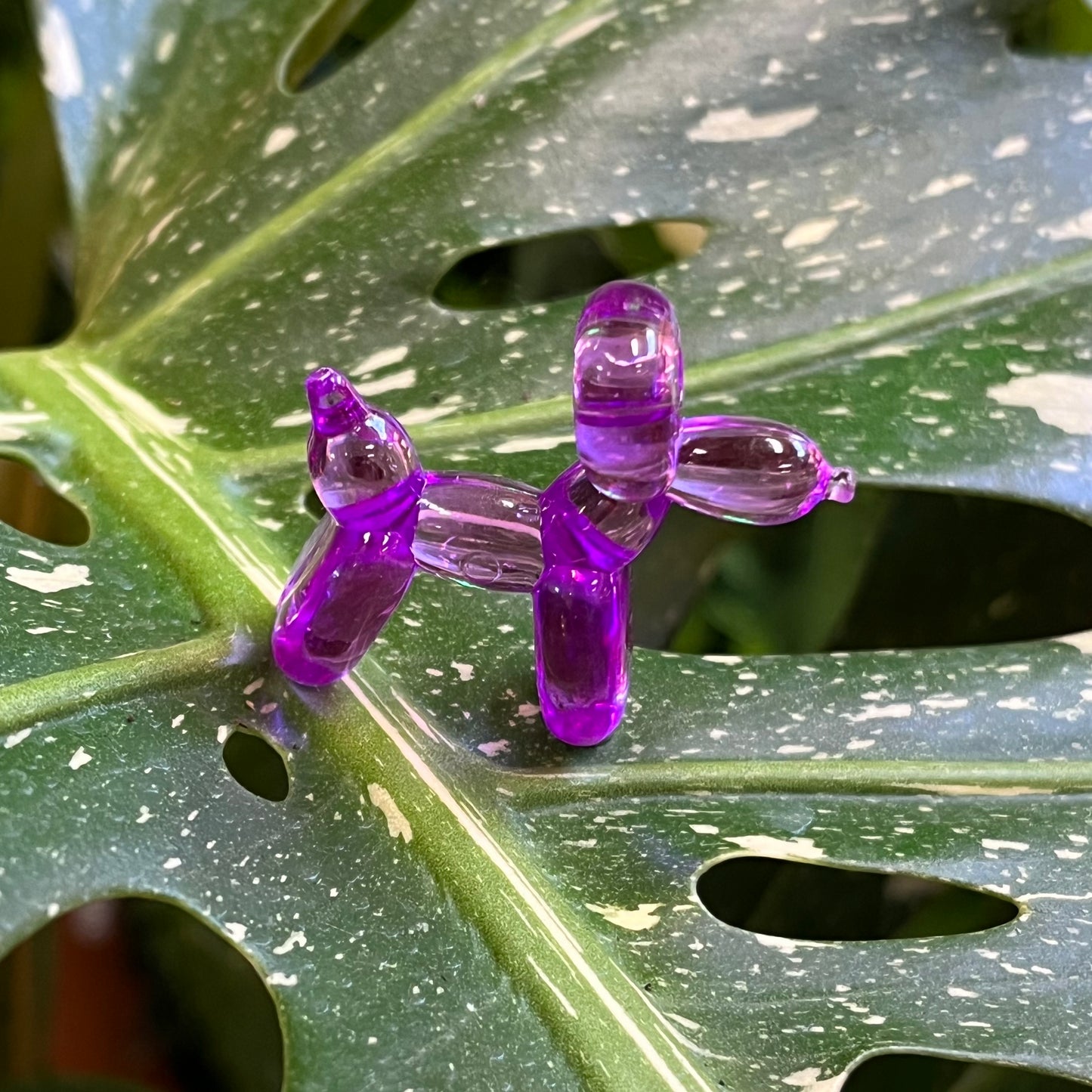 Balloon Dog Plant Magnet