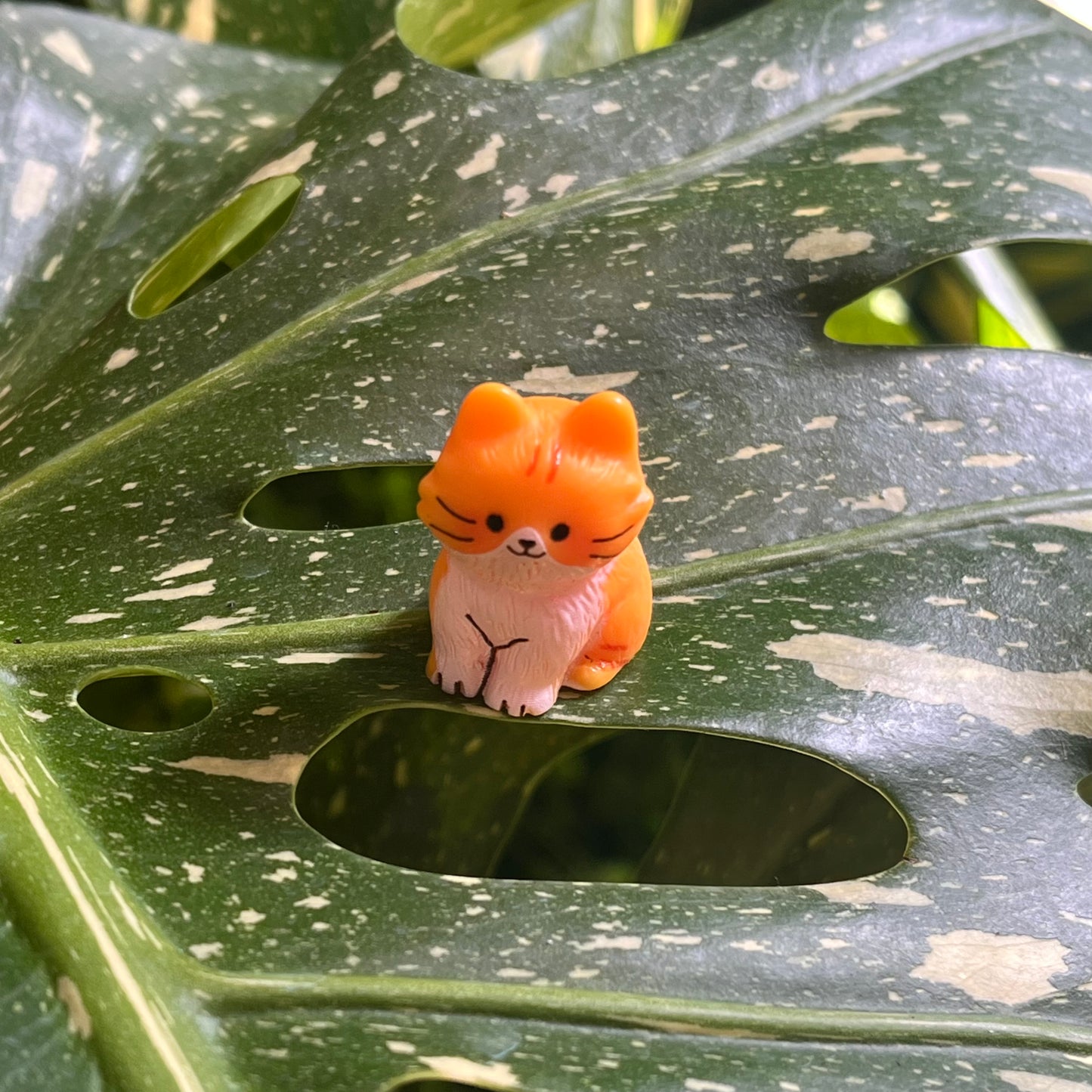 Sitting Cat Plant Magnet