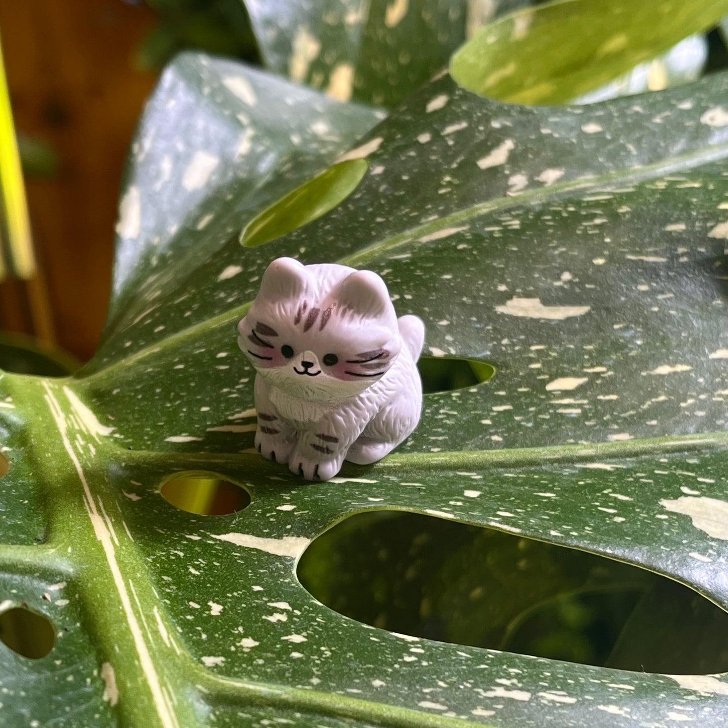 Sitting Cat Plant Magnet