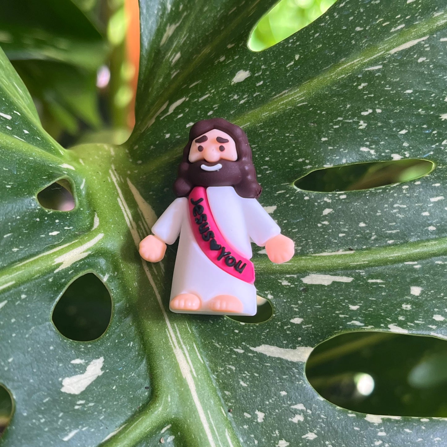 Mini Jesus Plant Magnet