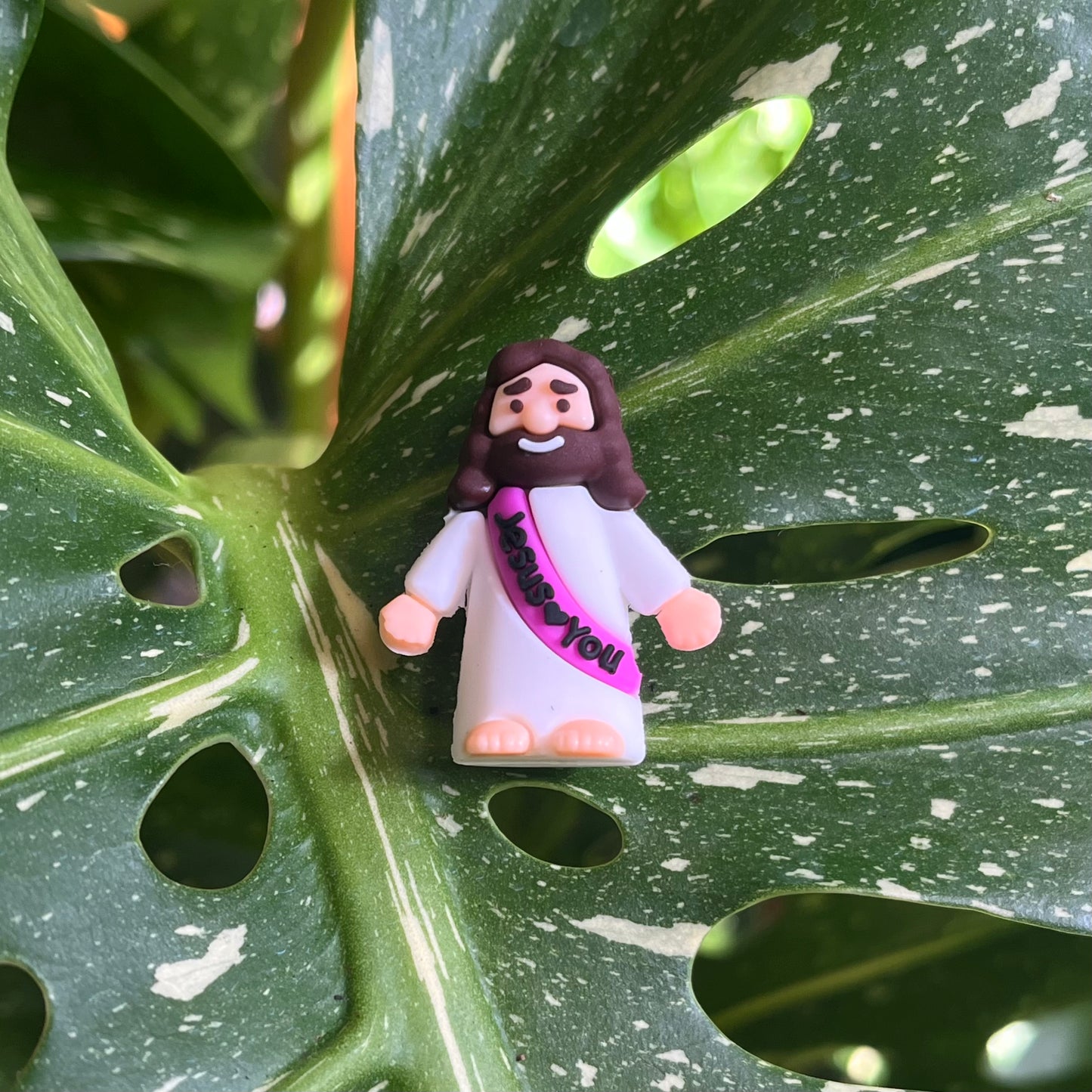 Mini Jesus Plant Magnet