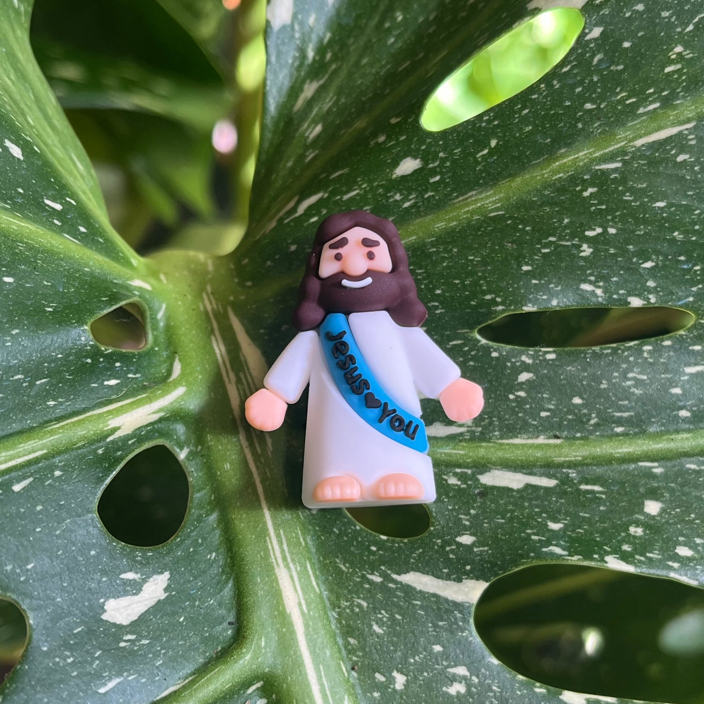 Mini Jesus Plant Magnet