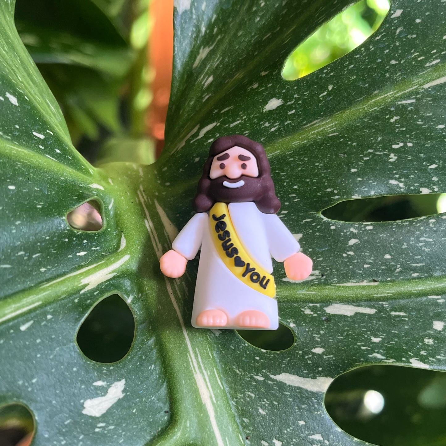 Mini Jesus Plant Magnet