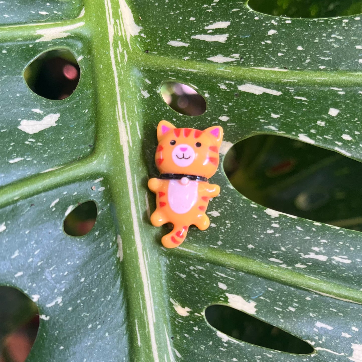 Mini Cat Plant Magnet