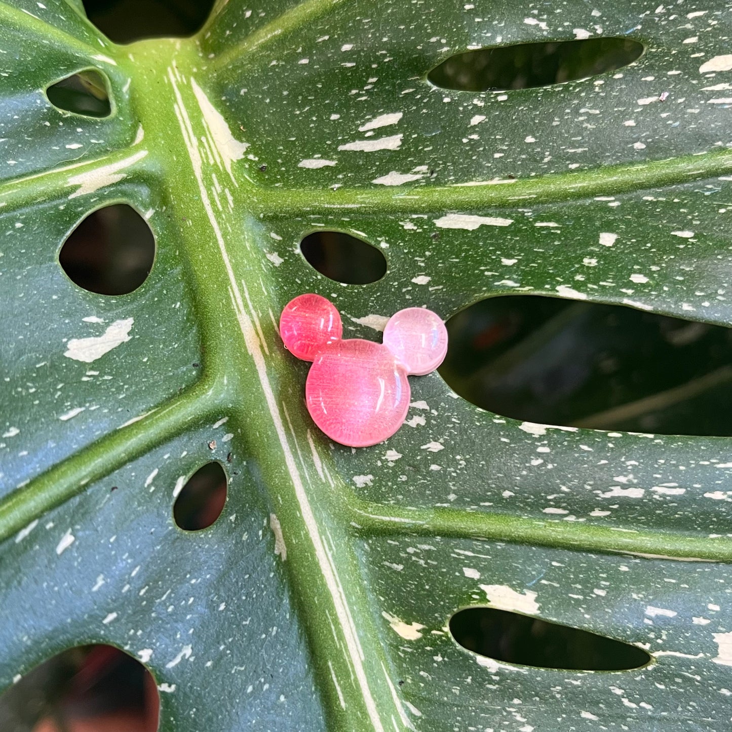 Bear/Mickey Head Plant Magnet