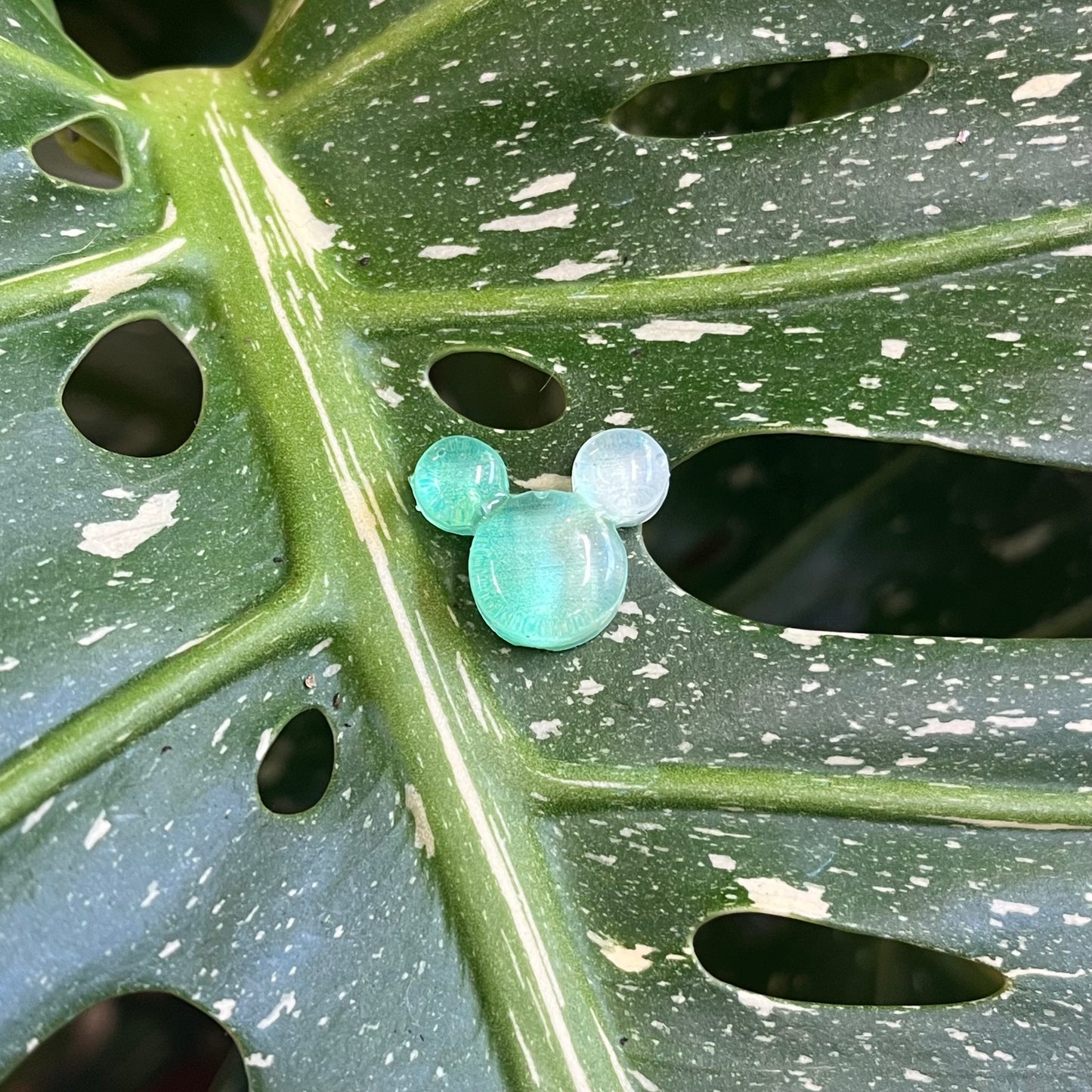 Bear/Mickey Head Plant Magnet