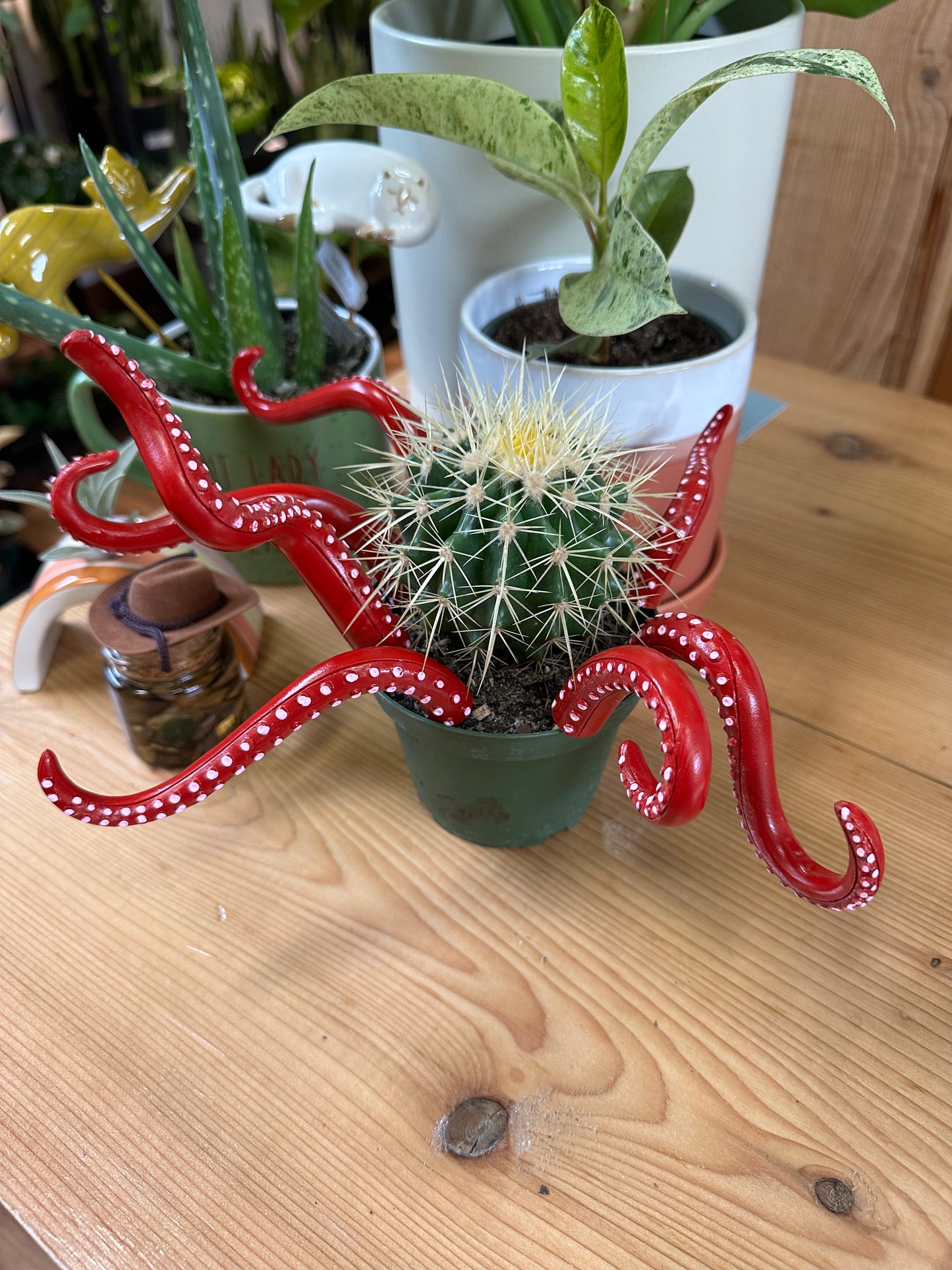 Octopus legs set of 7
