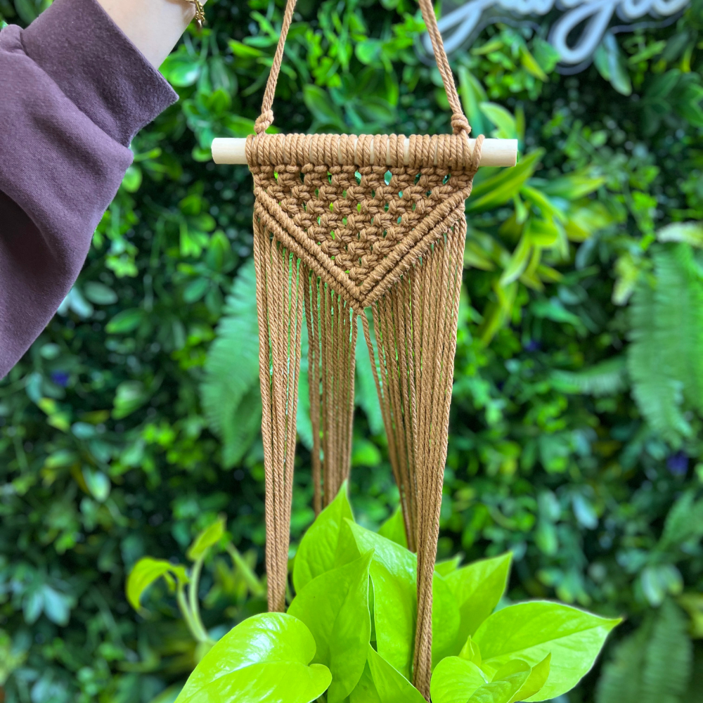 Macrame Hanging Basket - Variety