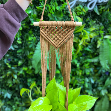Macrame Hanging Basket - Variety