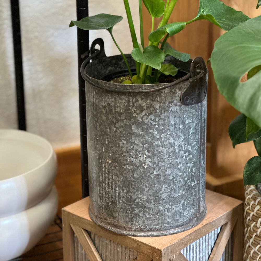 Metal Bucket Pot