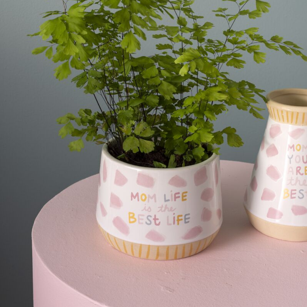 Motherhood Pot