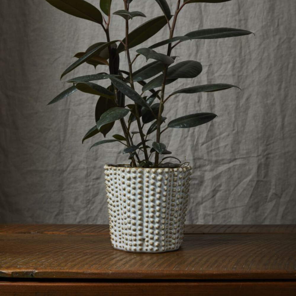 Nilly Pot