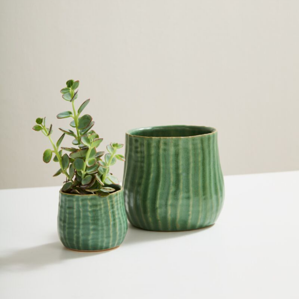 Palmero Pot