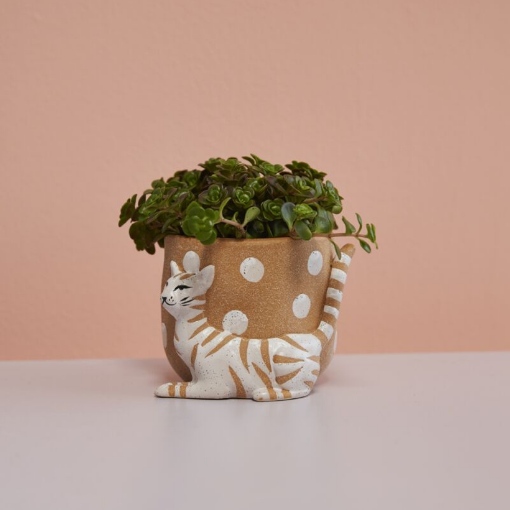 Pampered Pet Pot