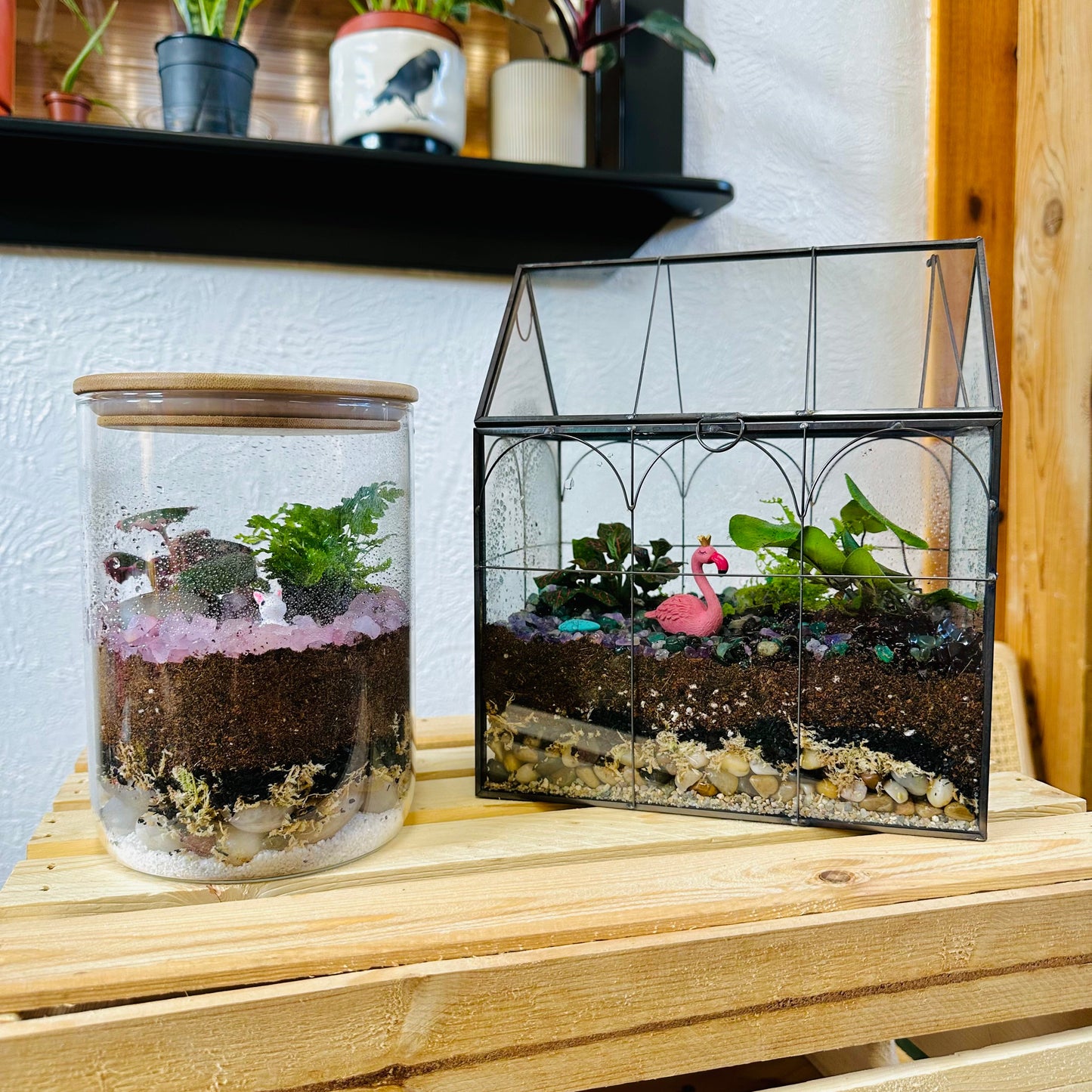 Self-Sustaining Terrarium Workshop