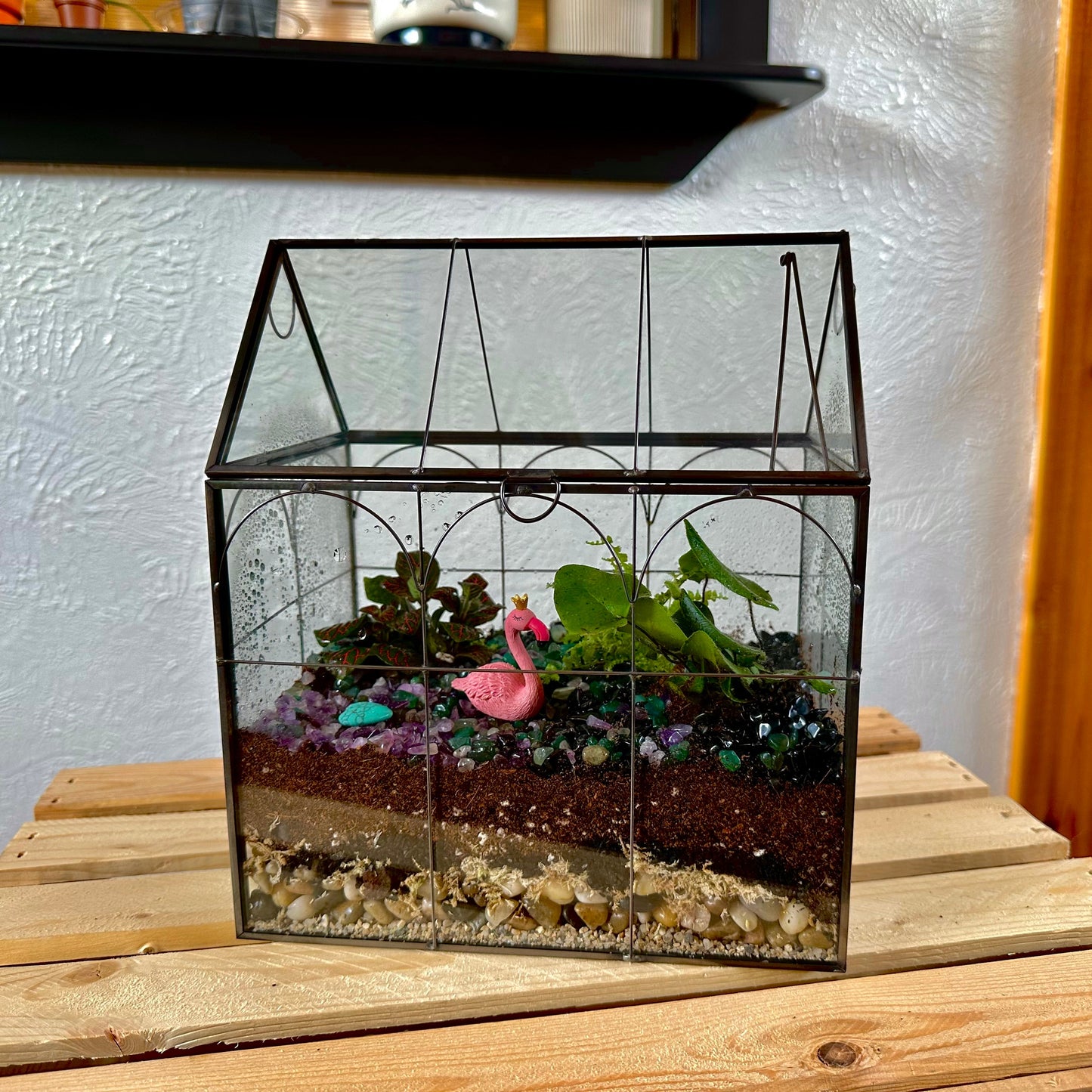 Self-Sustaining Terrarium Workshop