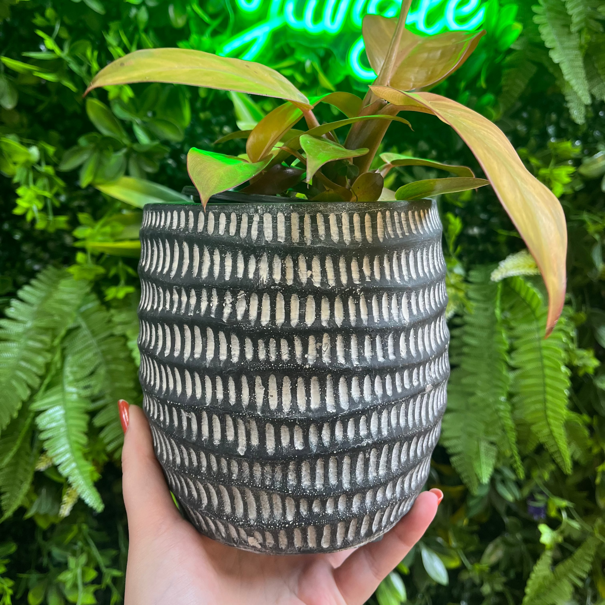 Hand holding a patterned pot with a plant in front of a neon sign reading 'to the jungle'.