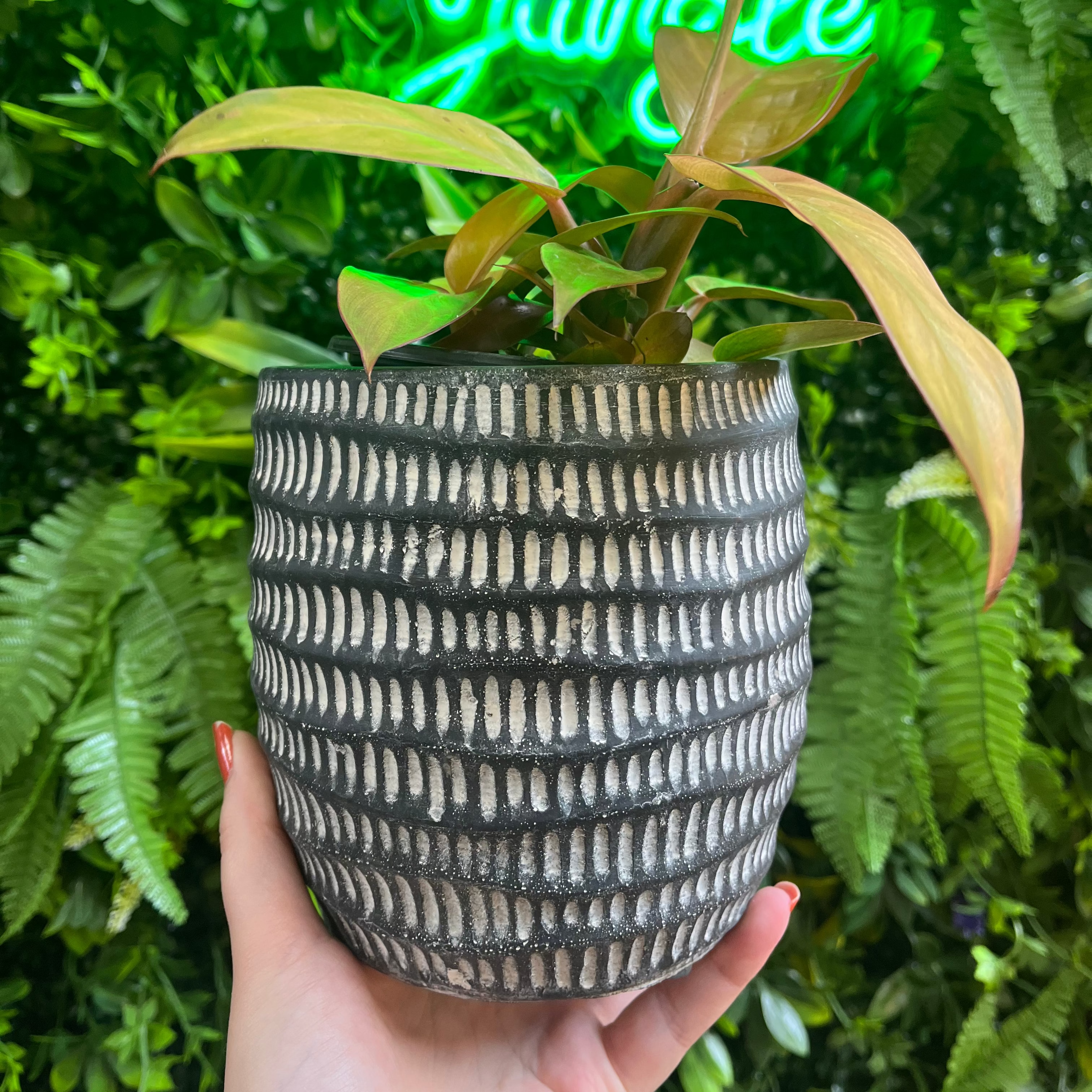 Hand holding a patterned pot with a plant in front of a neon sign reading 'to the jungle'.