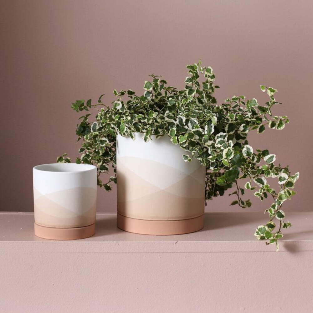 Vesper Pot with Saucer