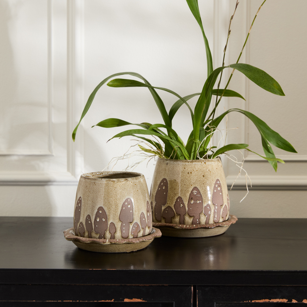 Wild Mushroom Pot with Saucer