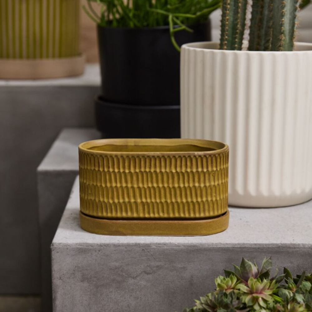 Zelle Planter with Saucer