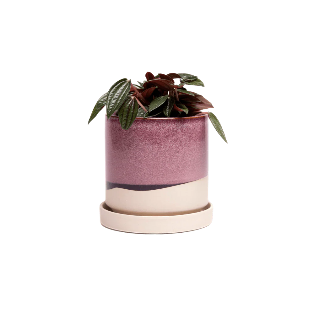Minute Ceramic Pot And Saucer Set