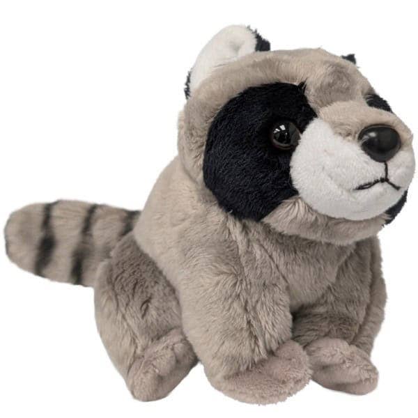 Jimothy, the Famous Seattle Raccoon Canned Stuffy