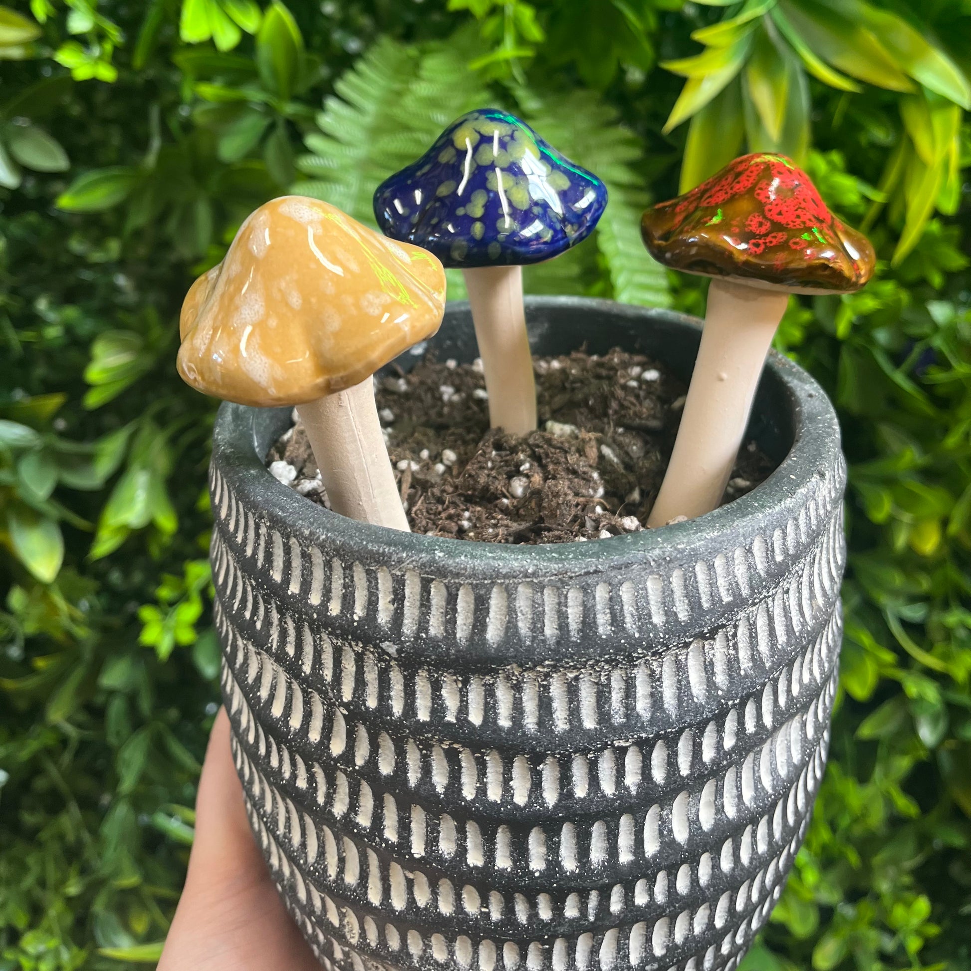 Three colorful ceramic mushrooms in a textured pot against a green leafy background