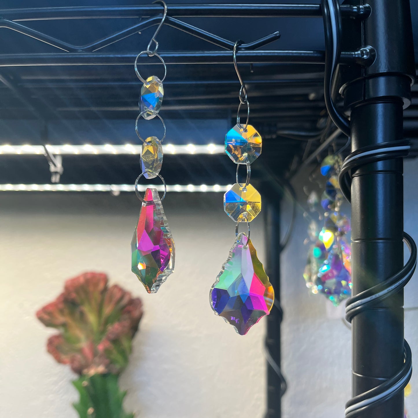 Multicolored crystal earrings hanging from a hook with a blurred indoor background.
