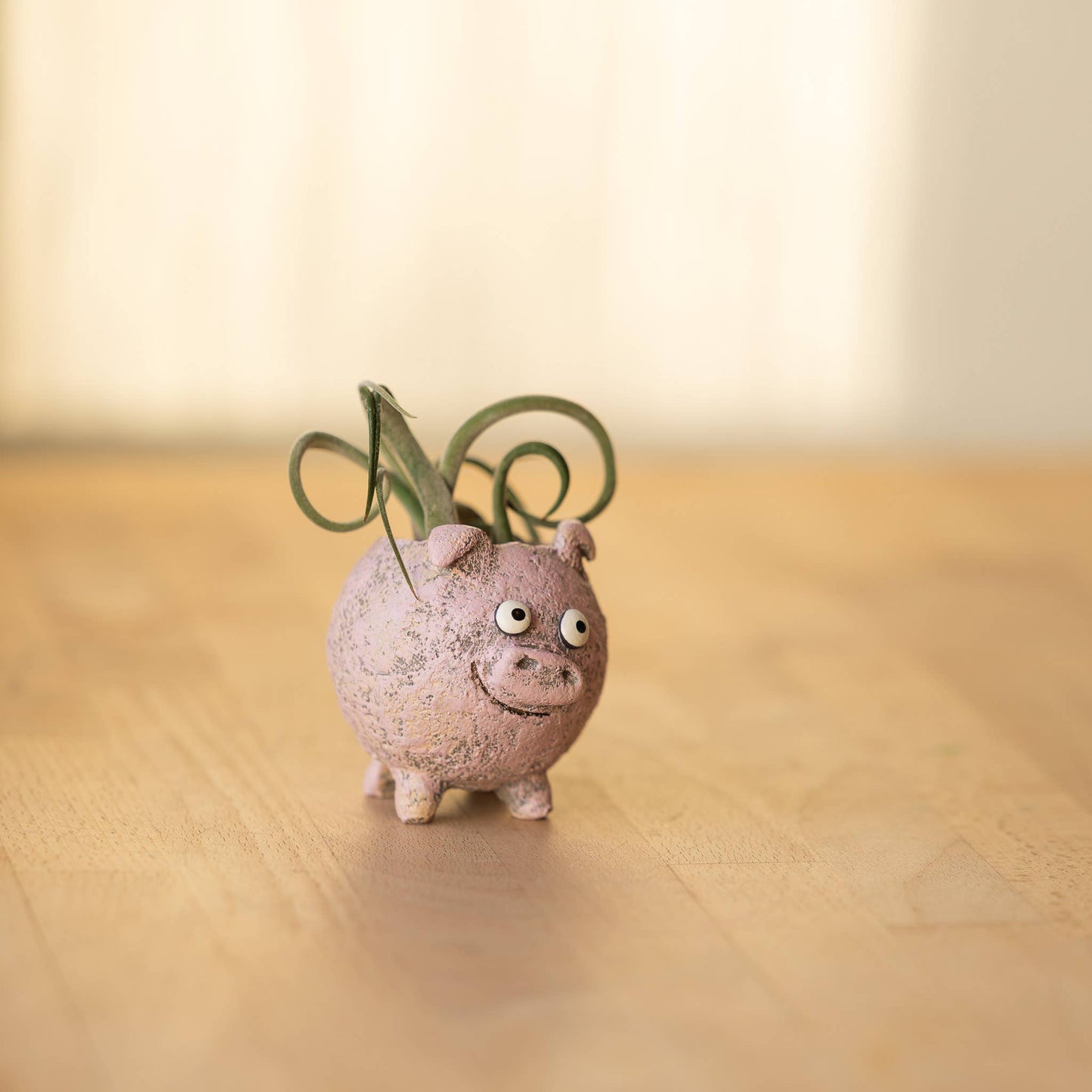 Henrietta the Pig - Blobhouse Planter