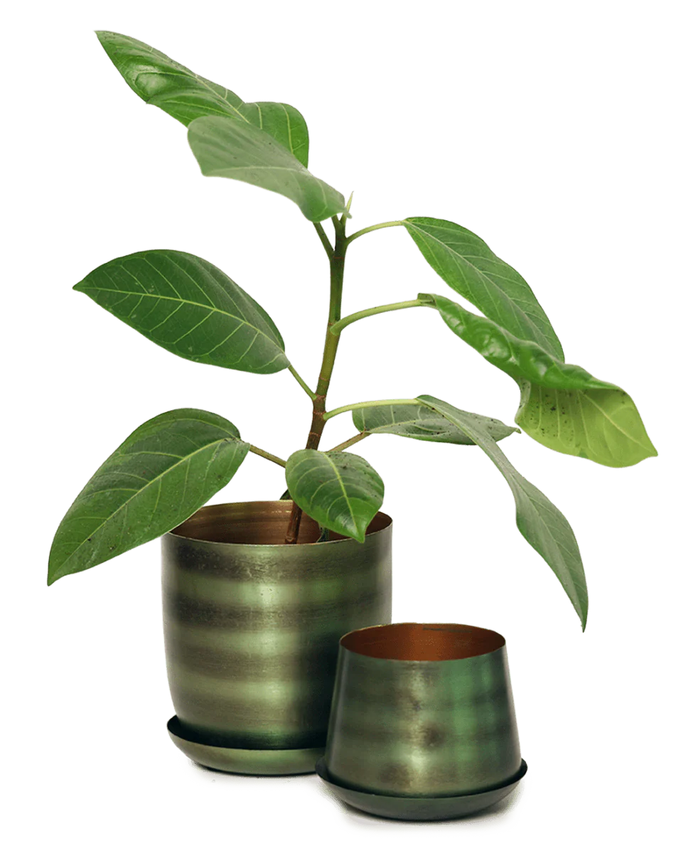 Joe Metal Pot