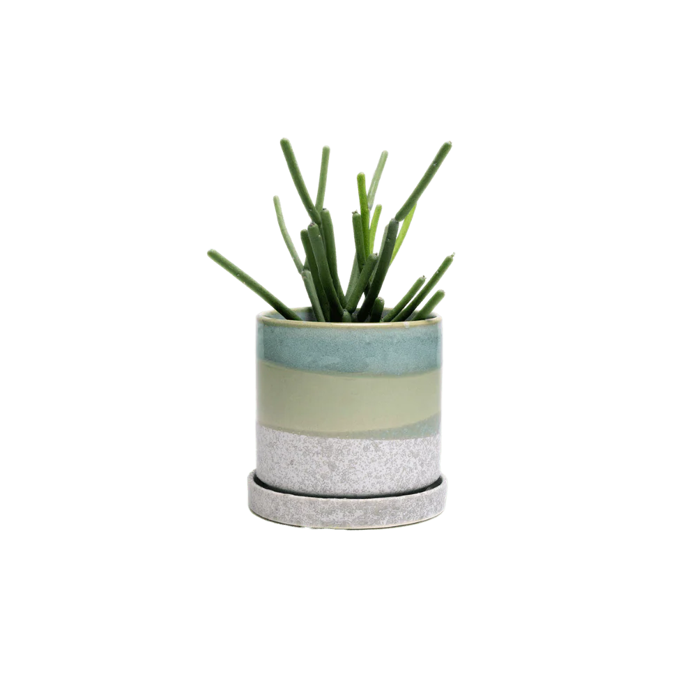 Minute Ceramic Pot And Saucer Set