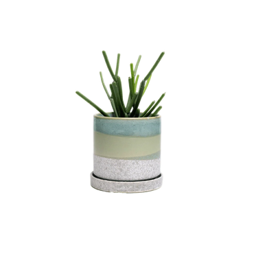 Minute Ceramic Pot And Saucer Set