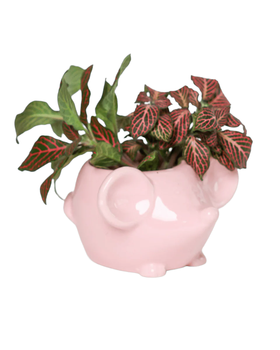 Mouse Ceramic Pot