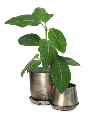 Joe Metal Pot